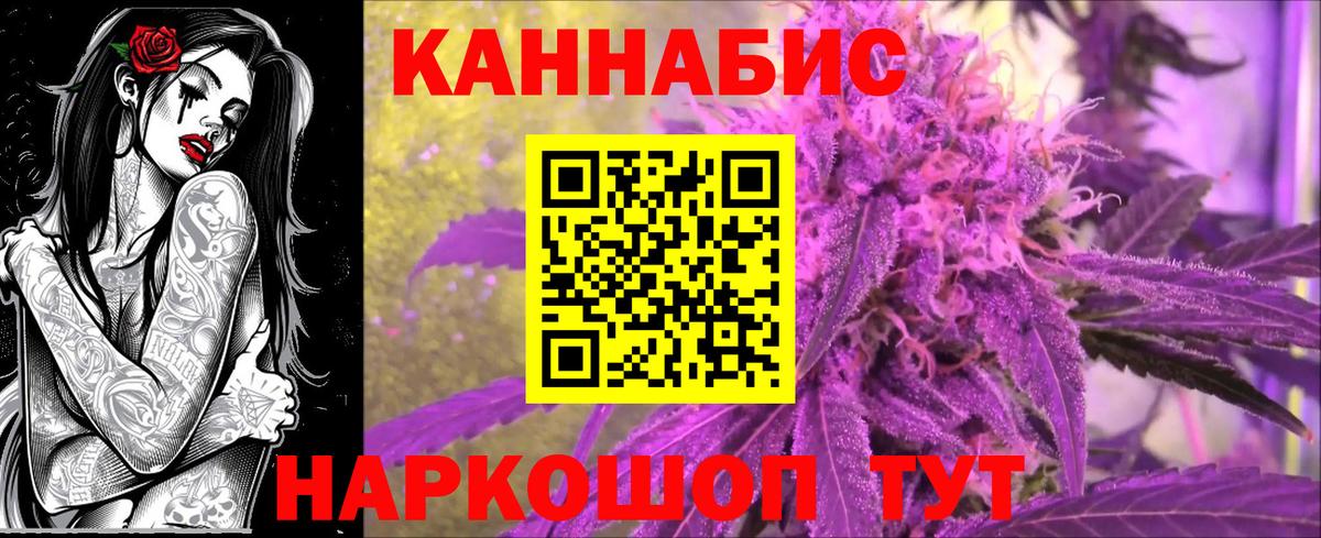 Каннабис план Кингисепп